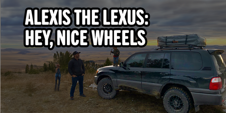 Alexis the Lexus: Hey, nice wheels